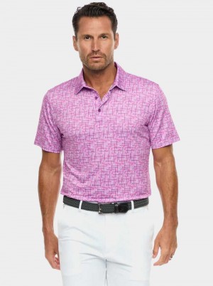 Berry Robert Graham Iron Play Knit Polo | 534216ZNS