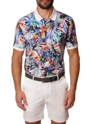 Multi Robert Graham Flores Polo | 256081OAD