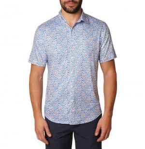 Multi Robert Graham Kotor Short Sleeve Knit Shirt | 246157DER