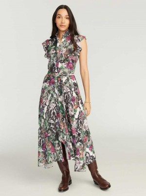 Multi Robert Graham Sadie Dress | 098612IUV