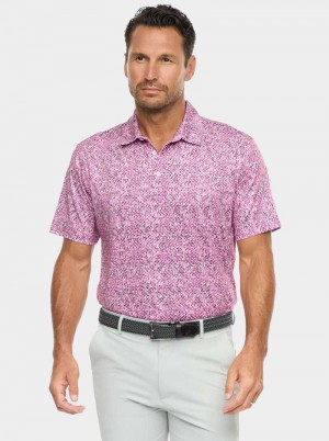 Navy Robert Graham Torin Short Sleeve Knit Polo | 375840RUX