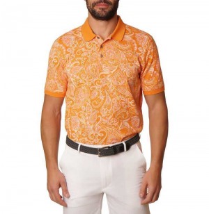 Orange Robert Graham Dozer Polo | 795328WNH