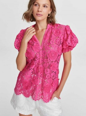 Pink Robert Graham Mila Shirt | 457602UTC