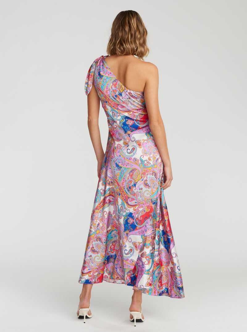 Multi Robert Graham Audrey Dress | 859021FWO