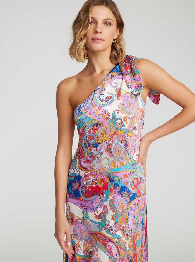 Multi Robert Graham Audrey Dress | 859021FWO