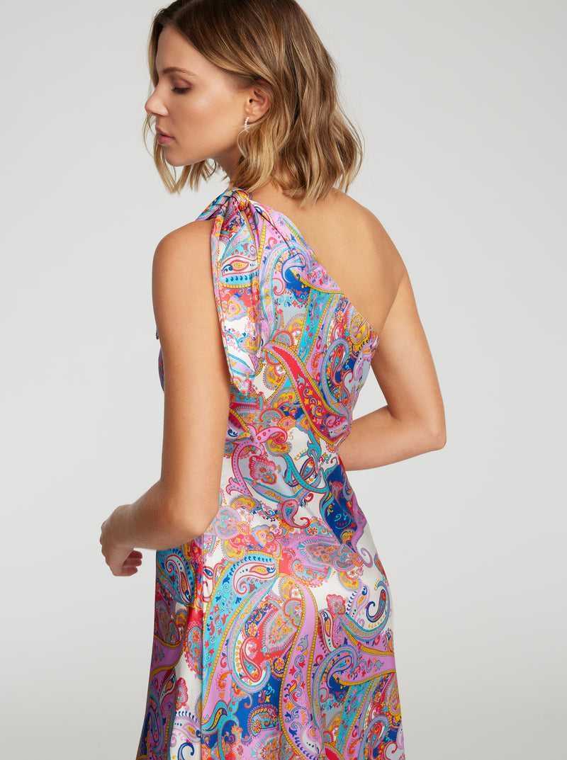 Multi Robert Graham Audrey Dress | 859021FWO