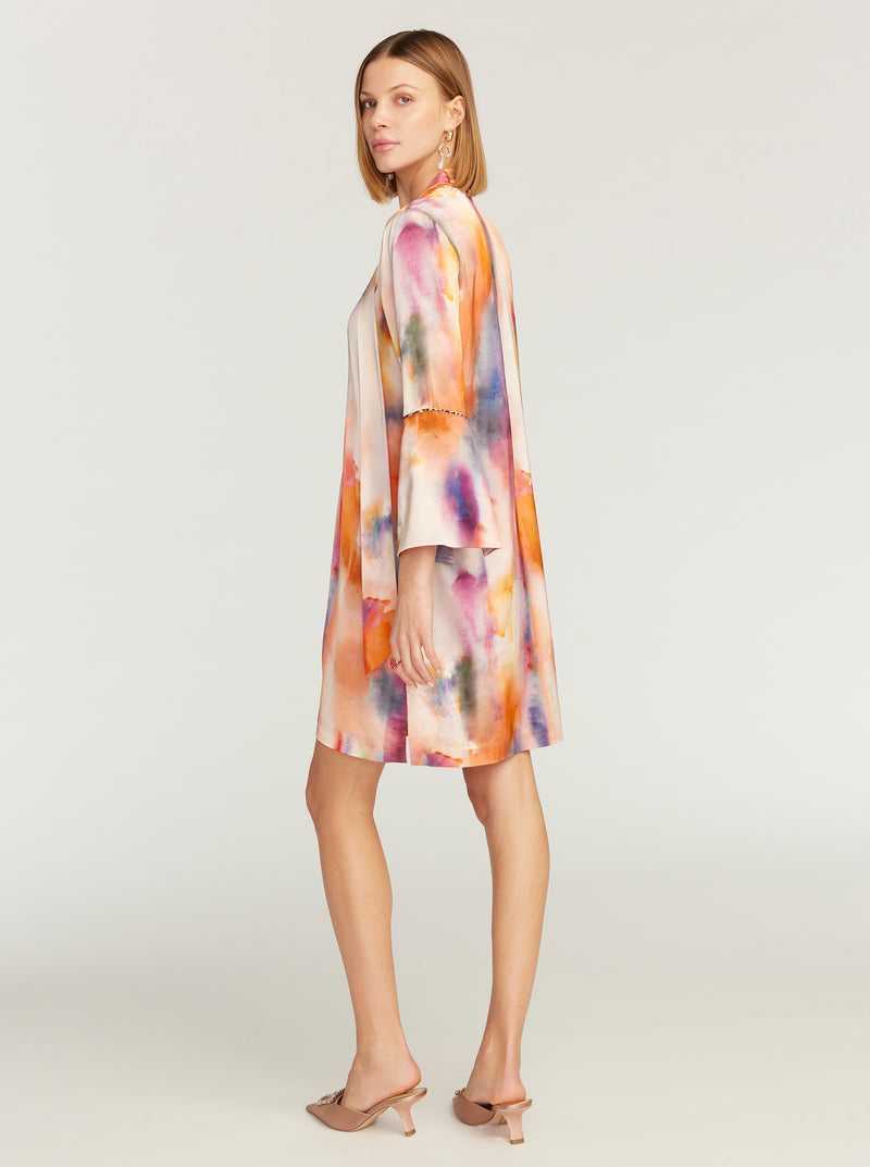 Multi Robert Graham Brenna Dress | 154368QKM