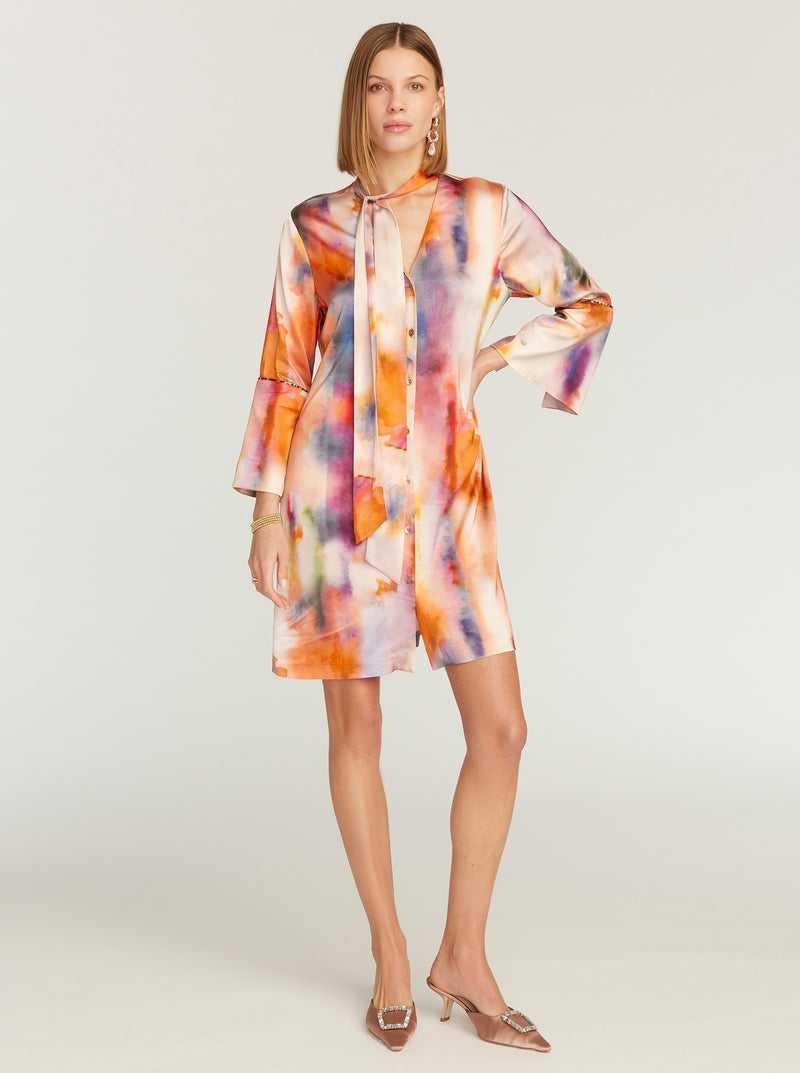 Multi Robert Graham Brenna Dress | 154368QKM