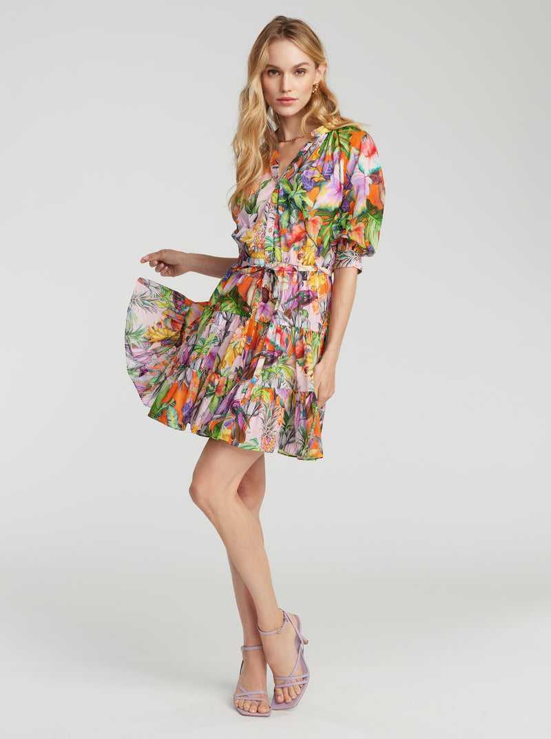 Multi Robert Graham Sydney Dress | 604137DXO