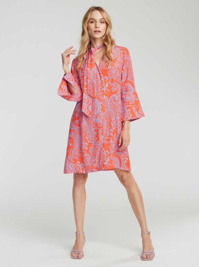 Pink Robert Graham Brenna Dress | 142698BDS